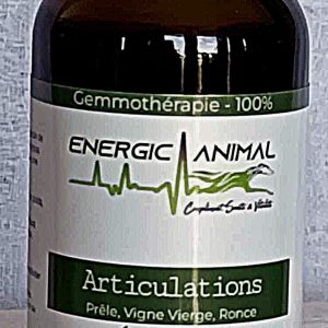 Complexe Articulations - Gemmothérapie - 30 ml
