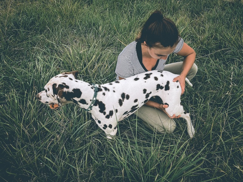Mélanie Cohen, Ostéopathe canin au Centre Bel Air Park