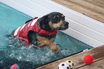 796a32_4806d89935094e3d8e80e5fe22ad78de~mv2