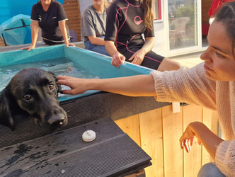 796a32_8505f65ede934a2daffdf097f53bab68~mv2