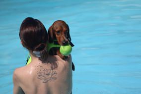 796a32_e737ad476bb34781b516cd09dcda4556~mv2