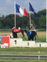 796a32_ec45c56c68874f7a881e9778bf8086fe~mv2