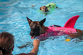 7e92b4_95967ab7389140748e1bc682017c6e64~mv2